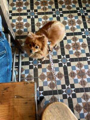 Malt Mill Coffee And Bakery