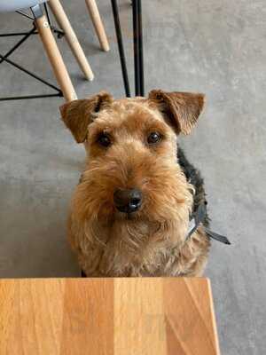 Martin Bros. Micropizzeria