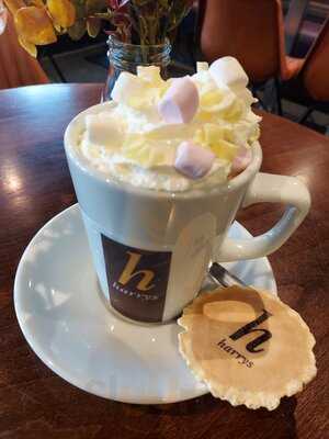 Harry's Bit On The Side