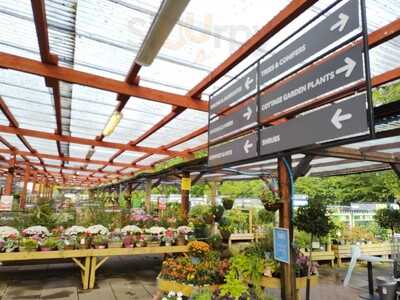 Dobbies Garden Centre Moreton Park