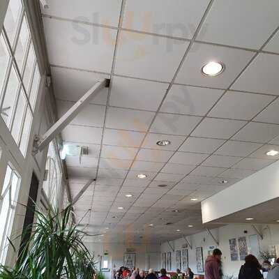 Dobbies Garden Centre Brighton