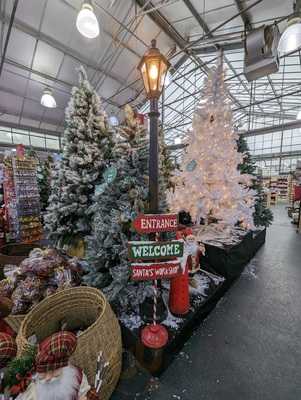 Dobbies Garden Centre Brighton