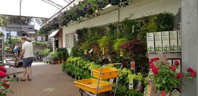 Dobbies Garden Centre Brighton