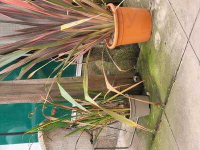 Dobbies Garden Centre York