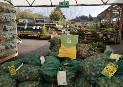 Dobbies Garden Centre York
