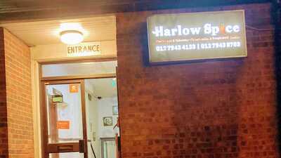 Harlow Spice