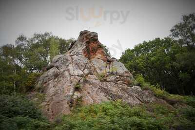 Habberley Valley Visitor Centre