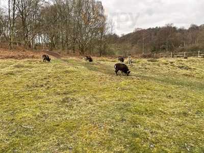 Habberley Valley Visitor Centre