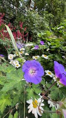 Piccolino Exchange Square, London