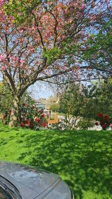 Wheatsheaf Inn Featuring Murase's Pizza