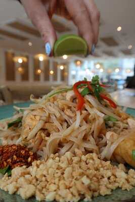 Lime Squeezy - Brighton