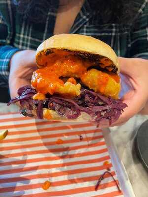 Sixes Social Cricket