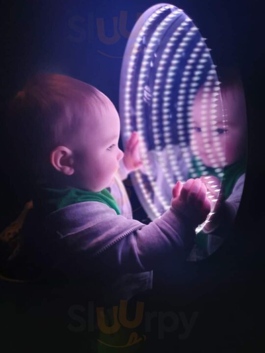 Little Peacock Coffee Shop