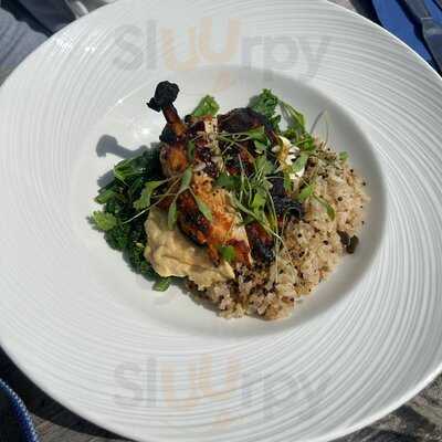 The Warbler On The Wharf