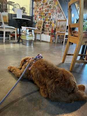 Bucks Star Brewery Tap House