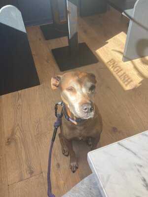 Brickie's Pie & Mash