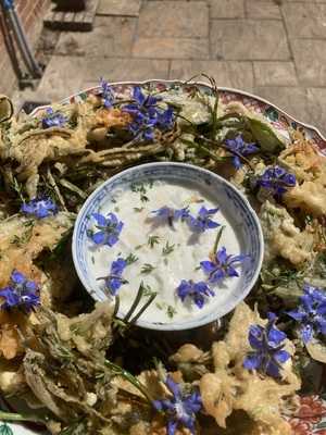 The Sprout & Bean Truck