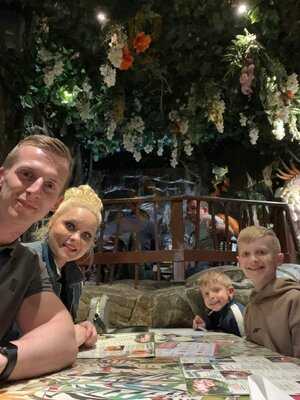 Jungle Cave - Family & Kids Restaurant