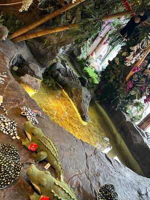 Jungle Cave - Family & Kids Restaurant