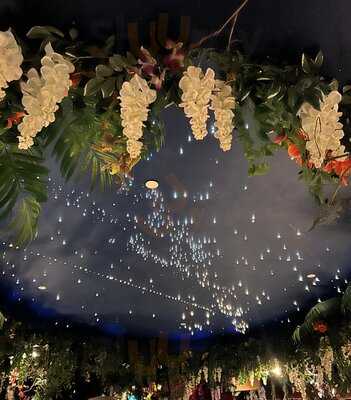 Jungle Cave - Family & Kids Restaurant