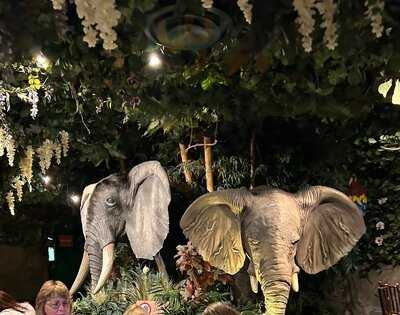 Jungle Cave - Family & Kids Restaurant