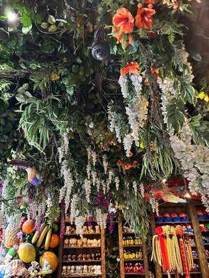 Jungle Cave - Family & Kids Restaurant