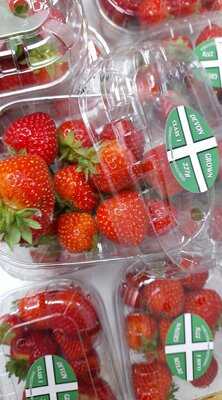 Sylvania Community Stores And Cafe