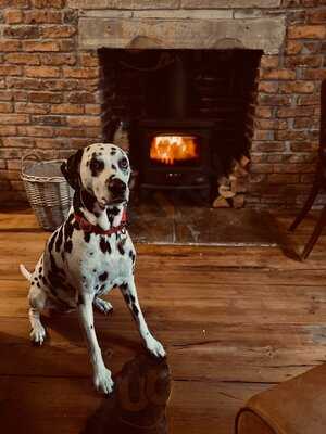 Mum's House Hx1 Cocktail Bar