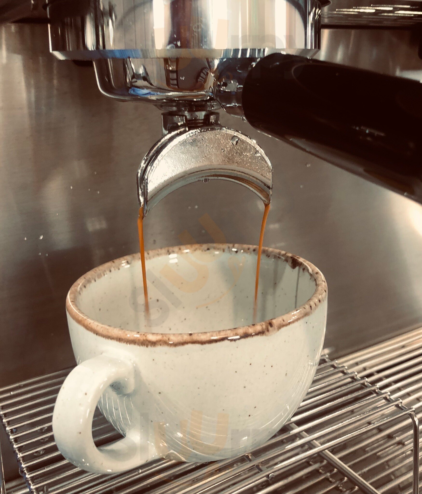 Wolf Rock Coffee And Ice Cream