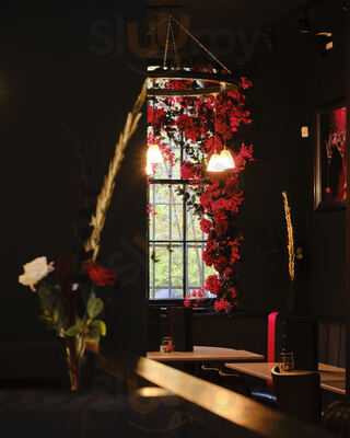 The Daiquiri Edinburgh