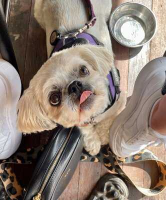 Rudy's Pizza Napoletana - Chapel Allerton