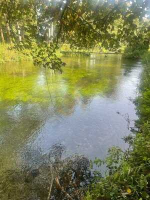 The Duke On The Test