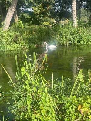 The Duke On The Test