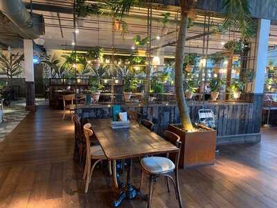 The Botanist Worcester - Photo 8