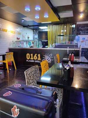 0161 Flaming Grill