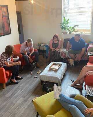 The Chihuahua Lounge