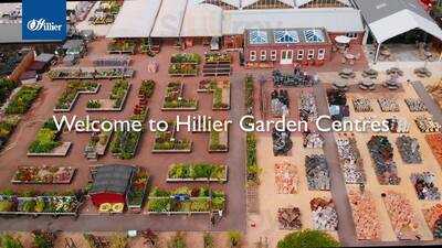 Mulberry & Thyme Restaurant Cheddar