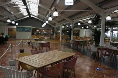 Mulberry & Thyme Restaurant Cheddar