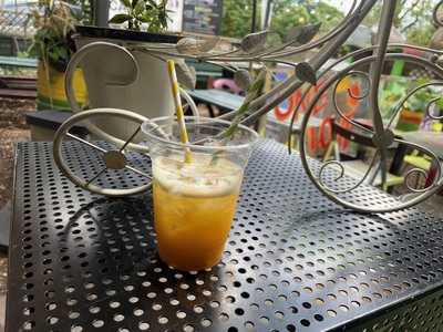 Allotmentz Friern Barnet Road