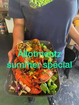 Allotmentz Friern Barnet Road