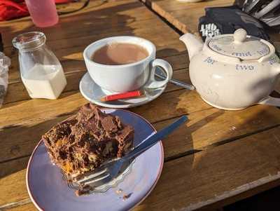 The Lazy Lizard Cafe