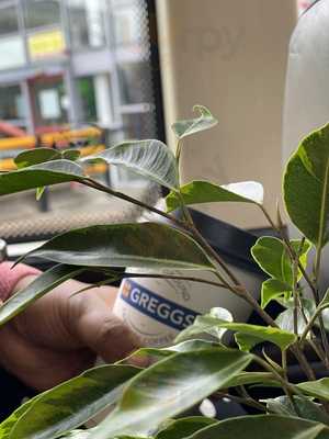 Greggs
