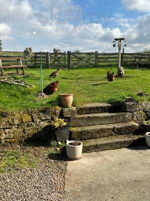 Rochester Relish - The Last Cafe In England