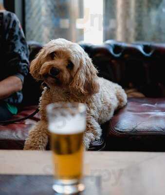 Jim & Tonic At The Print House