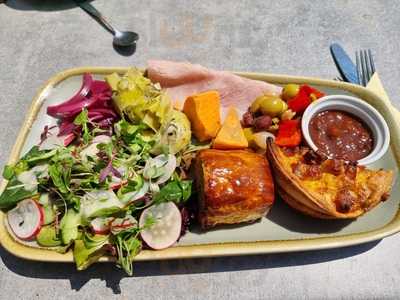 Honesty Dummer Down Cafe