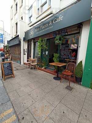 Meo Plants And Cafe