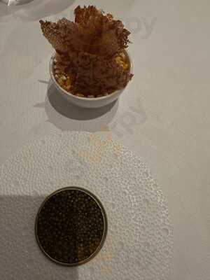 Solstice By Kenny Atkinson