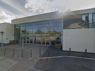 Oodles Leeds - White Rose