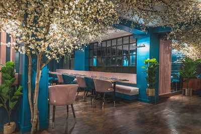 Muse Brasserie - Bristol