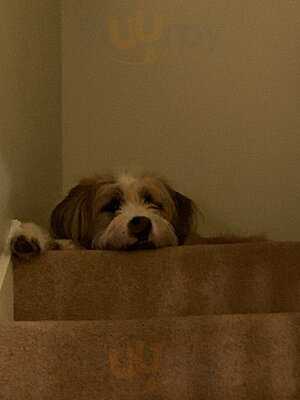 The Hart At Headless Cross